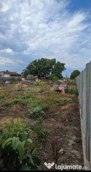Teren de 1853 mp, în Cazasu