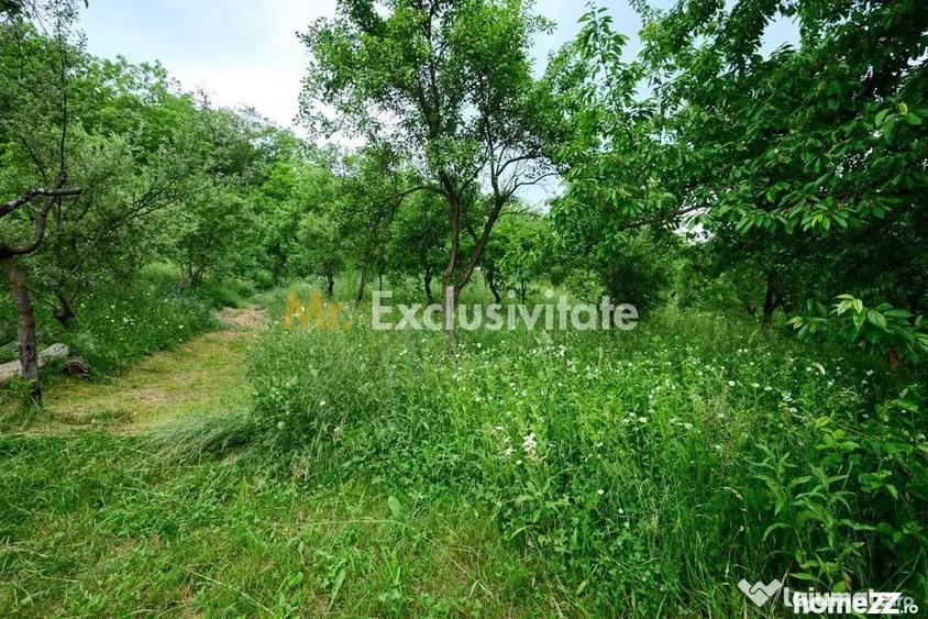 Casă cu 3 camere cu Teren 4696 Mp în Central