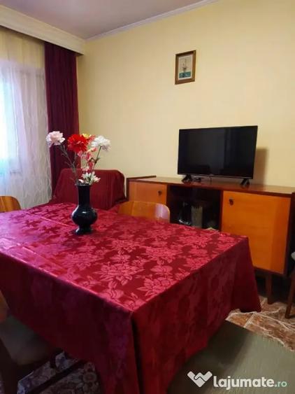 Apartament 2 camere de inchiriat in zona Dacia 52 mp - 14