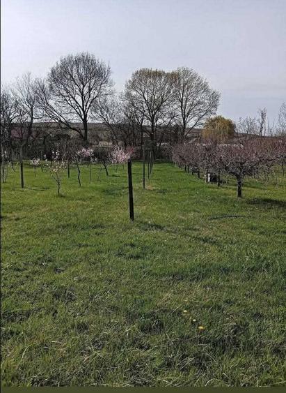 Casă cu 4 camere în Măderat