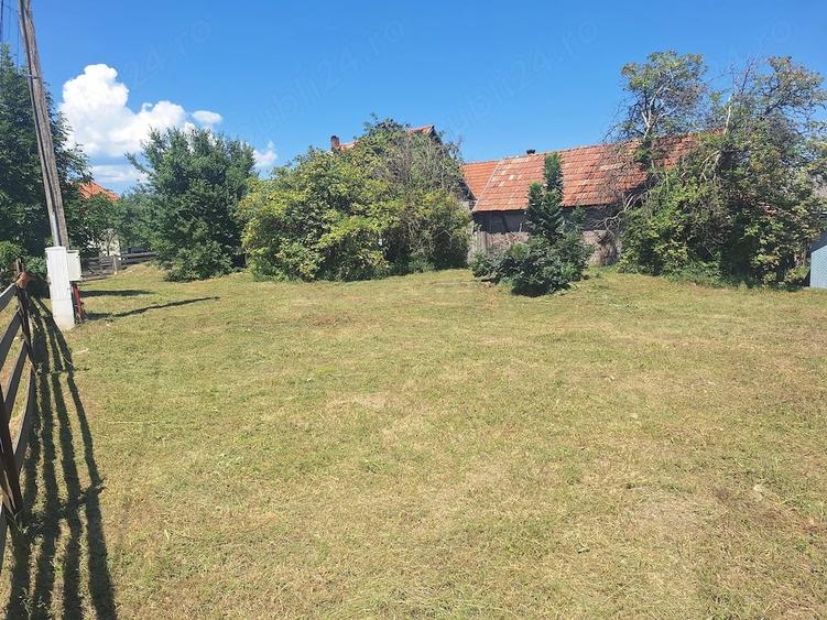 Teren de 3675 mp, în Șaula