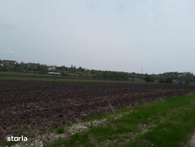 Teren de 7985 mp, în Coțofenii din Față