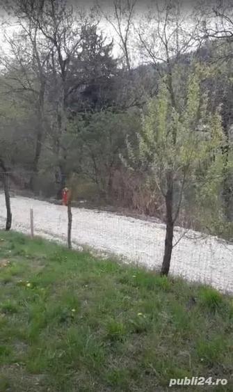Teren de 561 mp, în Turcheș
