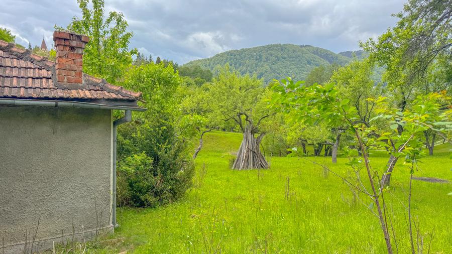 Teren agricol intravilan de 1500 mp, în Bran
