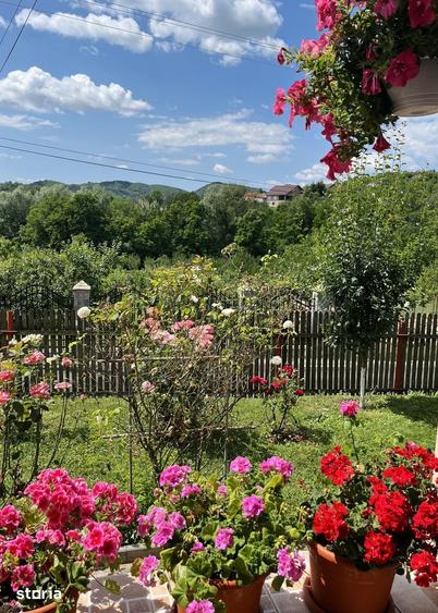 Casă cu 4 camere cu Teren 1670 Mp în Central