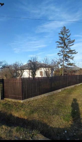 Casa Traditionala Romaneasca Suseni Arges - 3