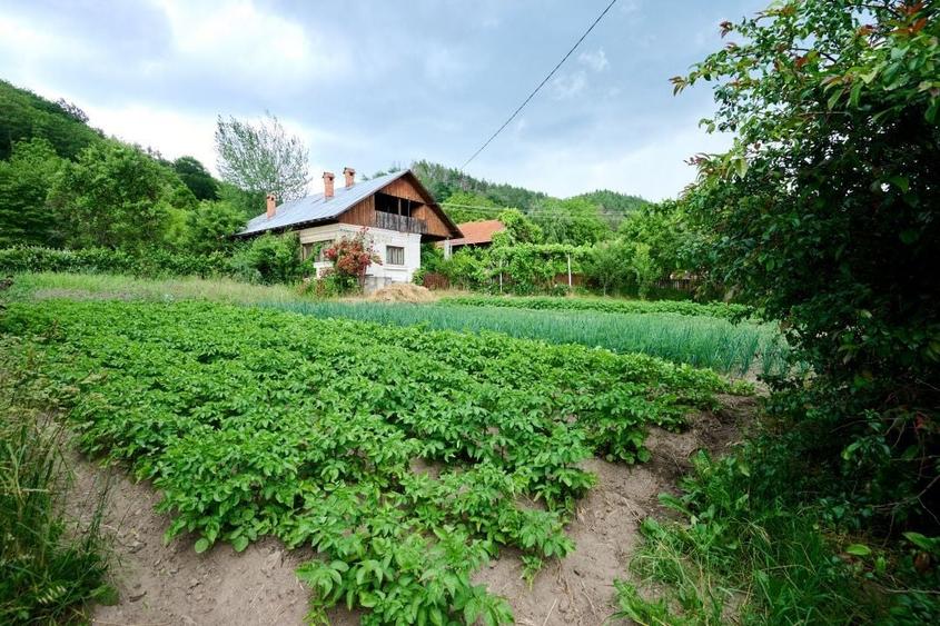 Casă individuală cu 3 camere cu Canalizare în Sud-Vest