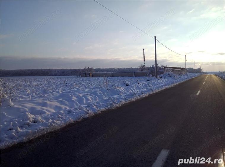 Teren de 5000 mp, în Bucovăț