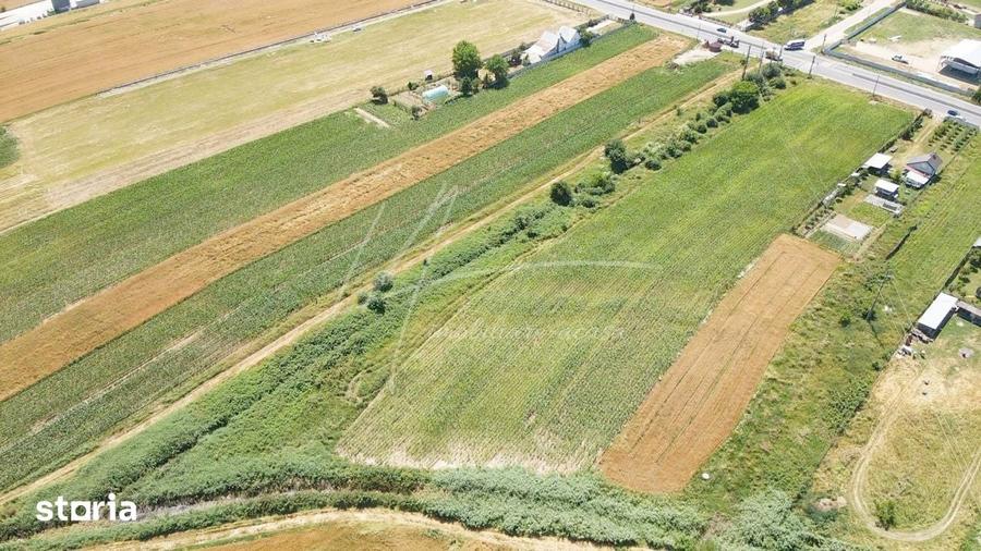Teren cu potential de dezvoltare 7427 mp in Argeselu, Maracineni, j - 4