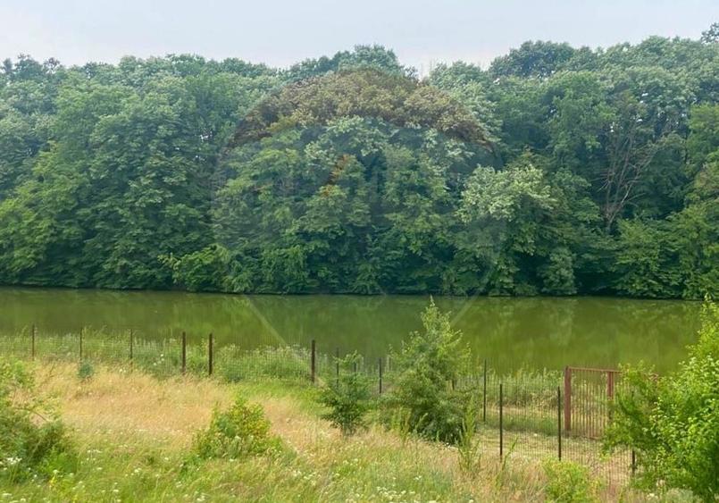 Teren agricol intravilan de 3778 mp, în Brănești