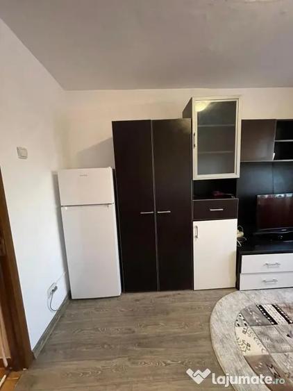 Garsonieră nedecomandată în Lotrului