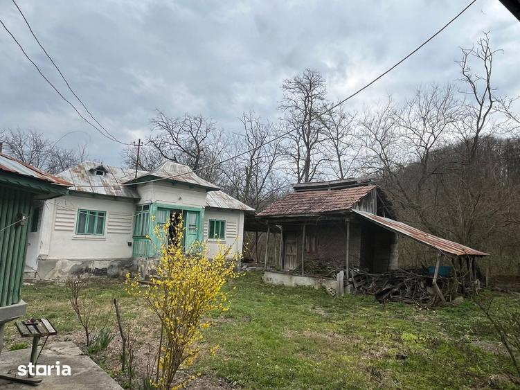 Casă cu 6 camere cu Teren 5000 Mp în Roești