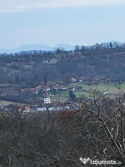 Casă cu 3 camere în Avram Iancu (Vârfurile)