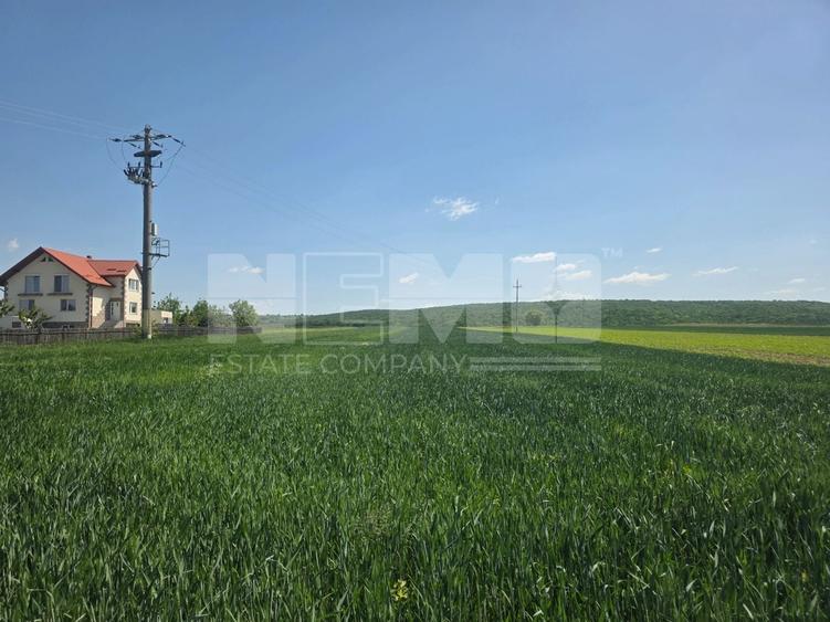 Teren agricol extravilan de 2600 mp, în Mitocu Dragomirnei