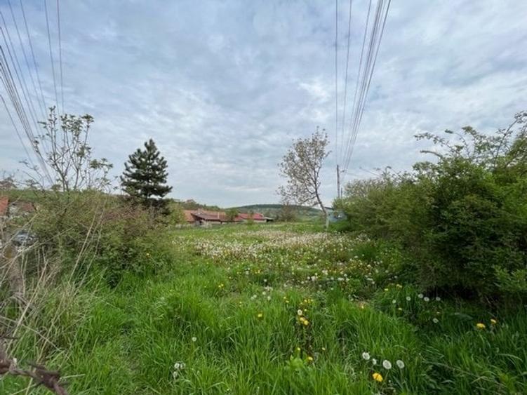 Teren Construcții intravilan de 1369 mp, în Exterior Vest