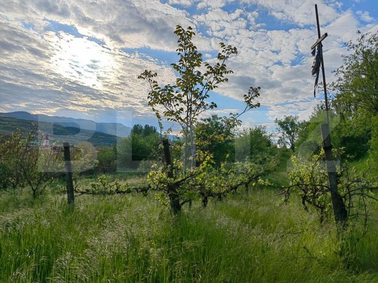 Casă individuală cu 5 camere cu Garaj în Șard