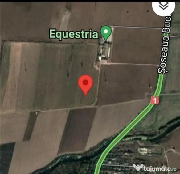 Teren de 12500 mp, în Săftica