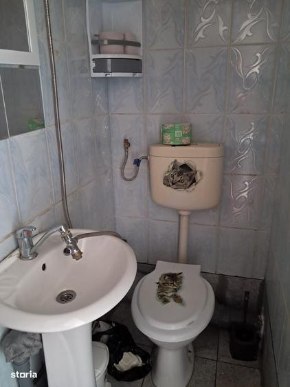 Garsonieră în Nufărul