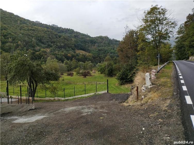 Teren de 4240 mp, în Lupșa