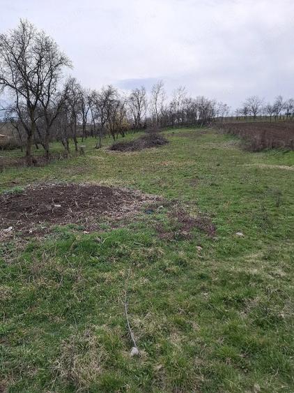 Teren de 1740 mp, în Feldioara