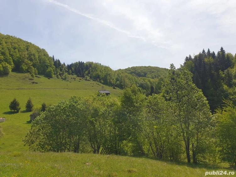 Teren de 1000 mp, în Dâmbovicioara