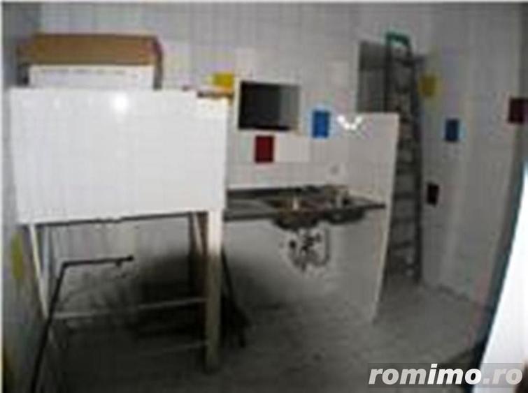 Spațiu comercial, de 250 mp, în Dacia