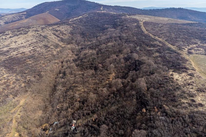 Teren Construcții extravilan de 5000 mp, în Ghioroc
