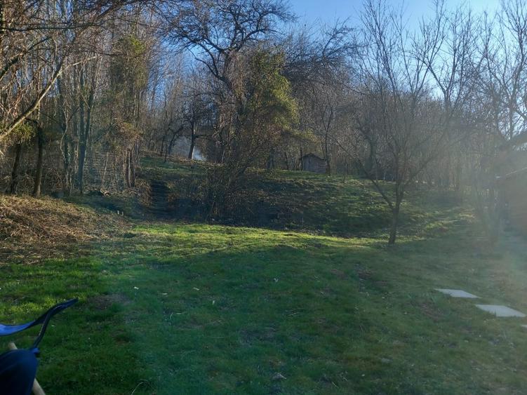 Teren Construcții intravilan de 5000 mp, în Poseștii-Pământeni