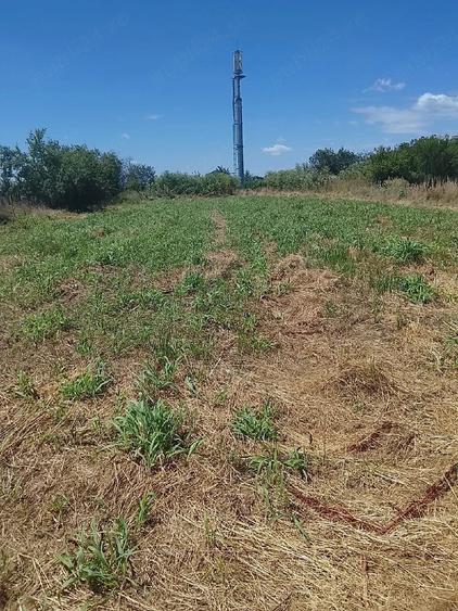 Teren de 1000 mp, în Copăceni