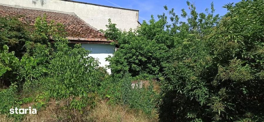 casa de demolat cu 942 mp teren in centrul comunei Periam - 1