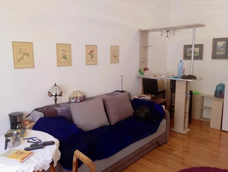 Garsonieră nedecomandată în Ultracentral