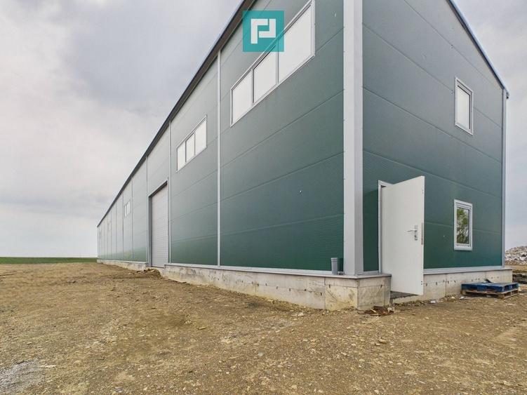 Spațiu industrial, de 563 mp, în Sânandrei