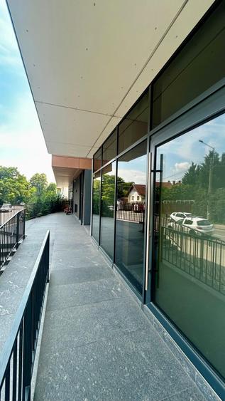 Spațiu comercial, de 47.299999237061 mp, în Grigorescu