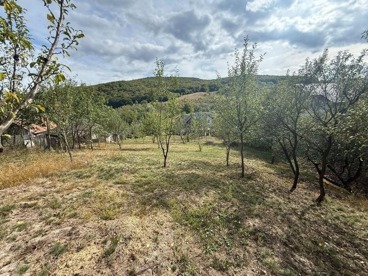 Casă cu 2 camere în Central