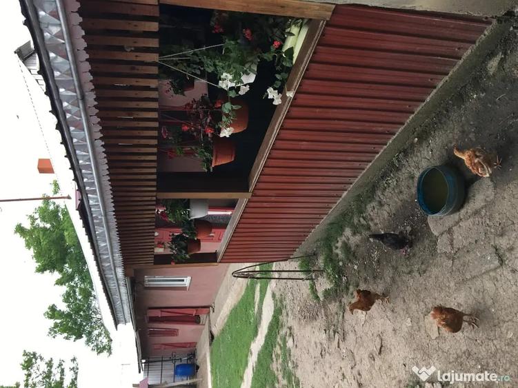 Casă cu 4 camere în Viișoara