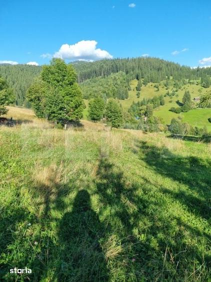 Teren de 2500 mp, în Central