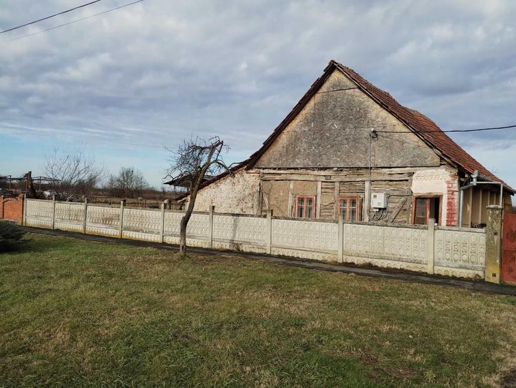 Casă cu 4 camere cu Teren 6153 Mp în Sinersig
