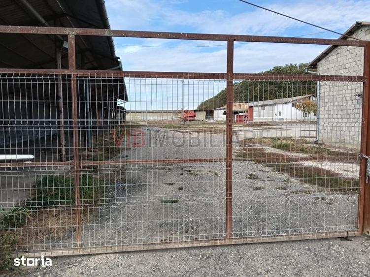Teren de 13500000 mp, în Central