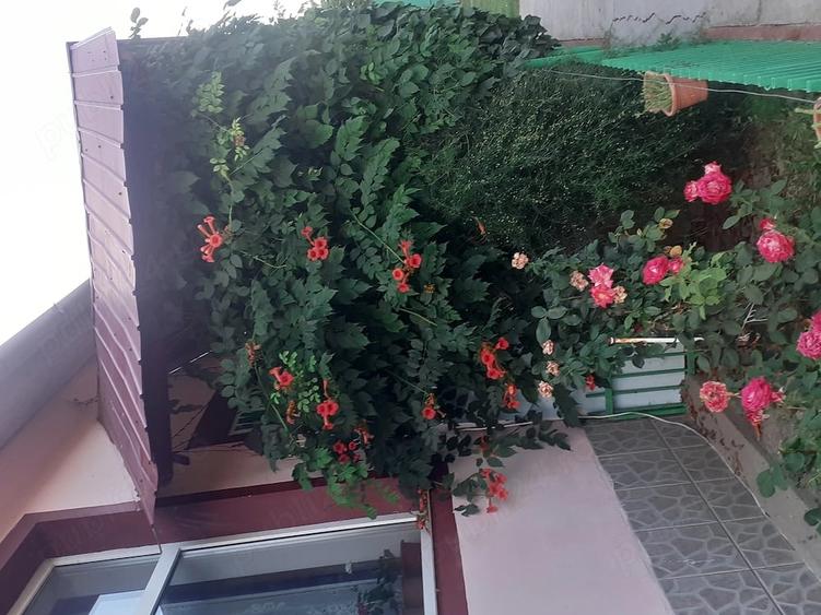 Casă cu 3 camere cu Teren 917 Mp în Iohanisfeld
