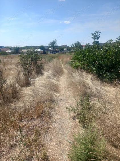 Teren de 4000 mp, în Broșteni