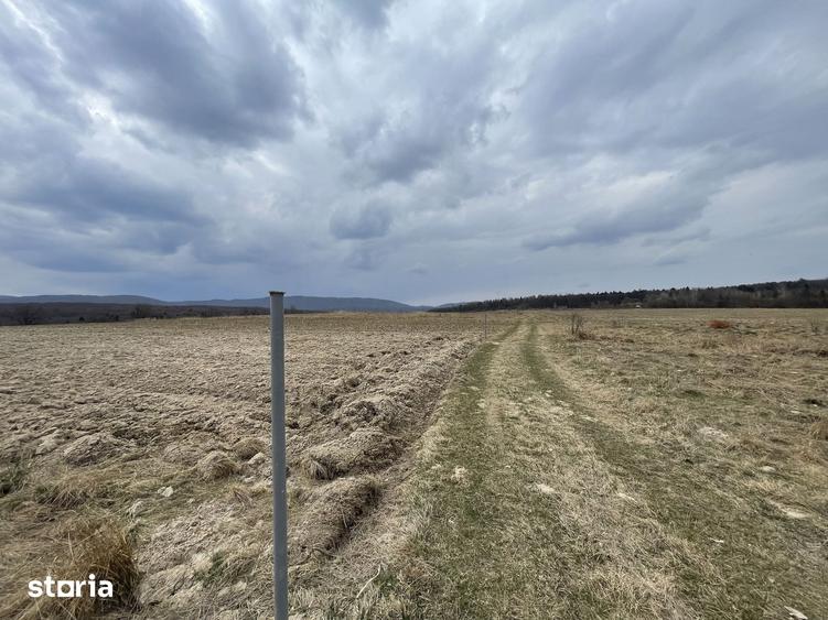 Teren de 2300 mp, în Central