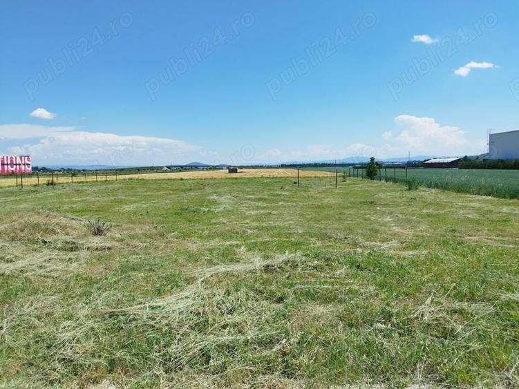 Teren de 25000 mp, în Central