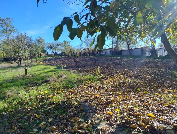 Casă cu 5 camere cu Teren 1100 Mp în Central