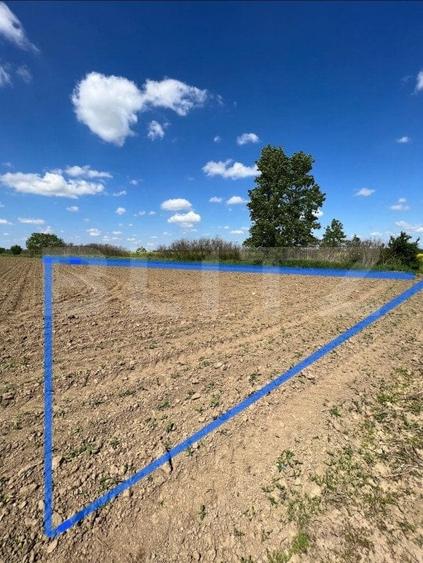 Teren Construcții intravilan de 700 mp, în Vest