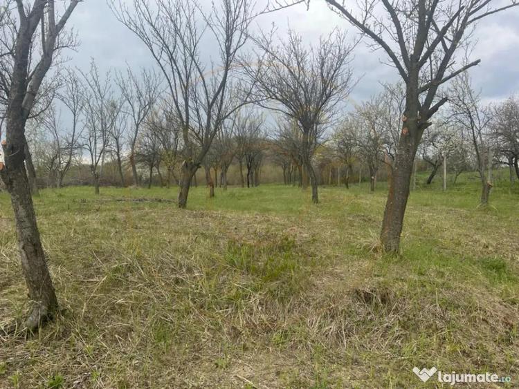 Teren de 2200 mp, în Călinești
