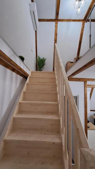 Casă cu Teren 540 Mp în Secăriei