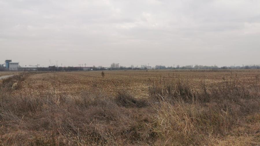 Teren Construcții intravilan de 4550 mp, în Ciolpani