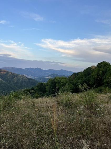 Casă cu 4 camere cu Teren 9000 Mp în Săcuieu