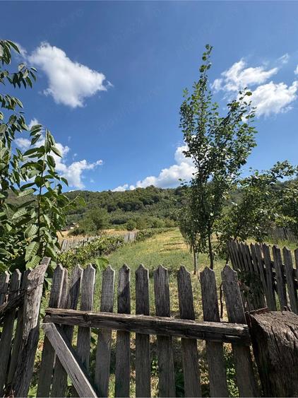 Teren de 2700 mp, în Polovragi