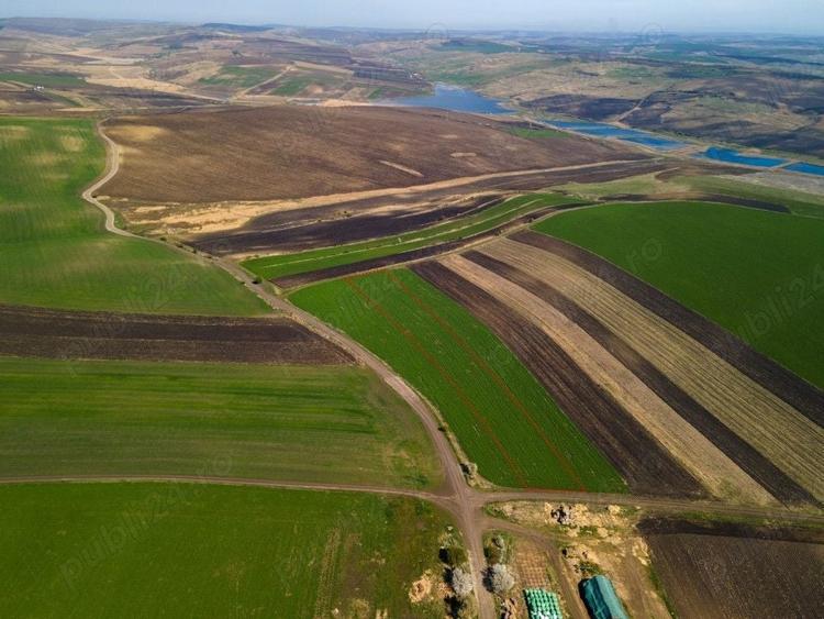Teren de 8000 mp, în Copăceni